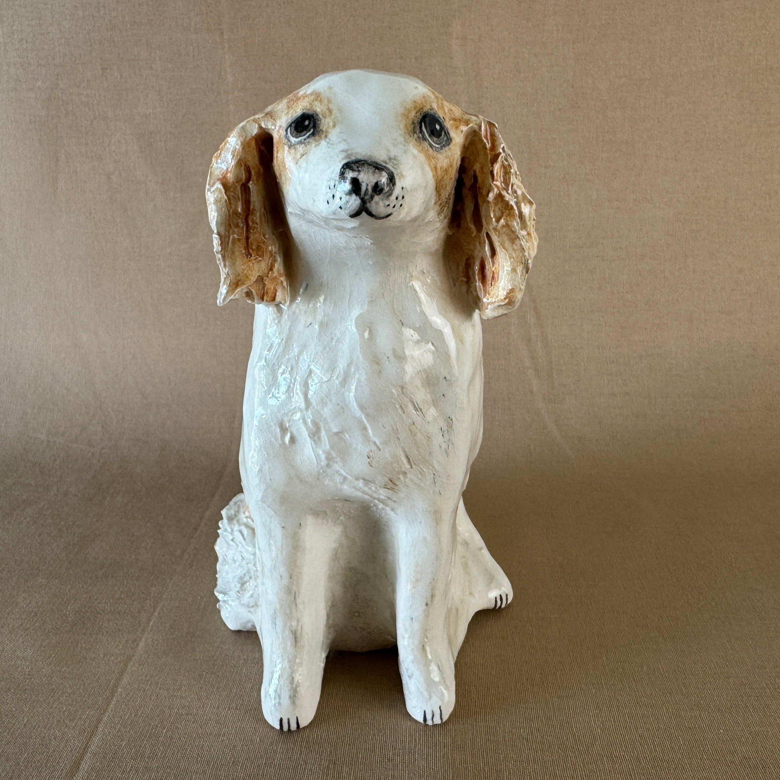 Archie the Spaniel