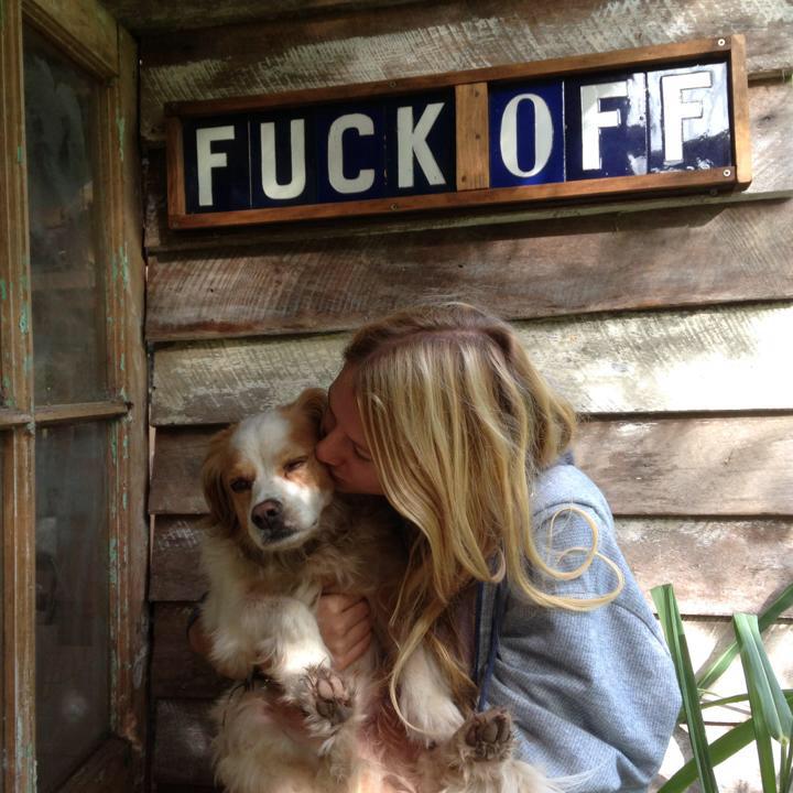Archie the Spaniel
