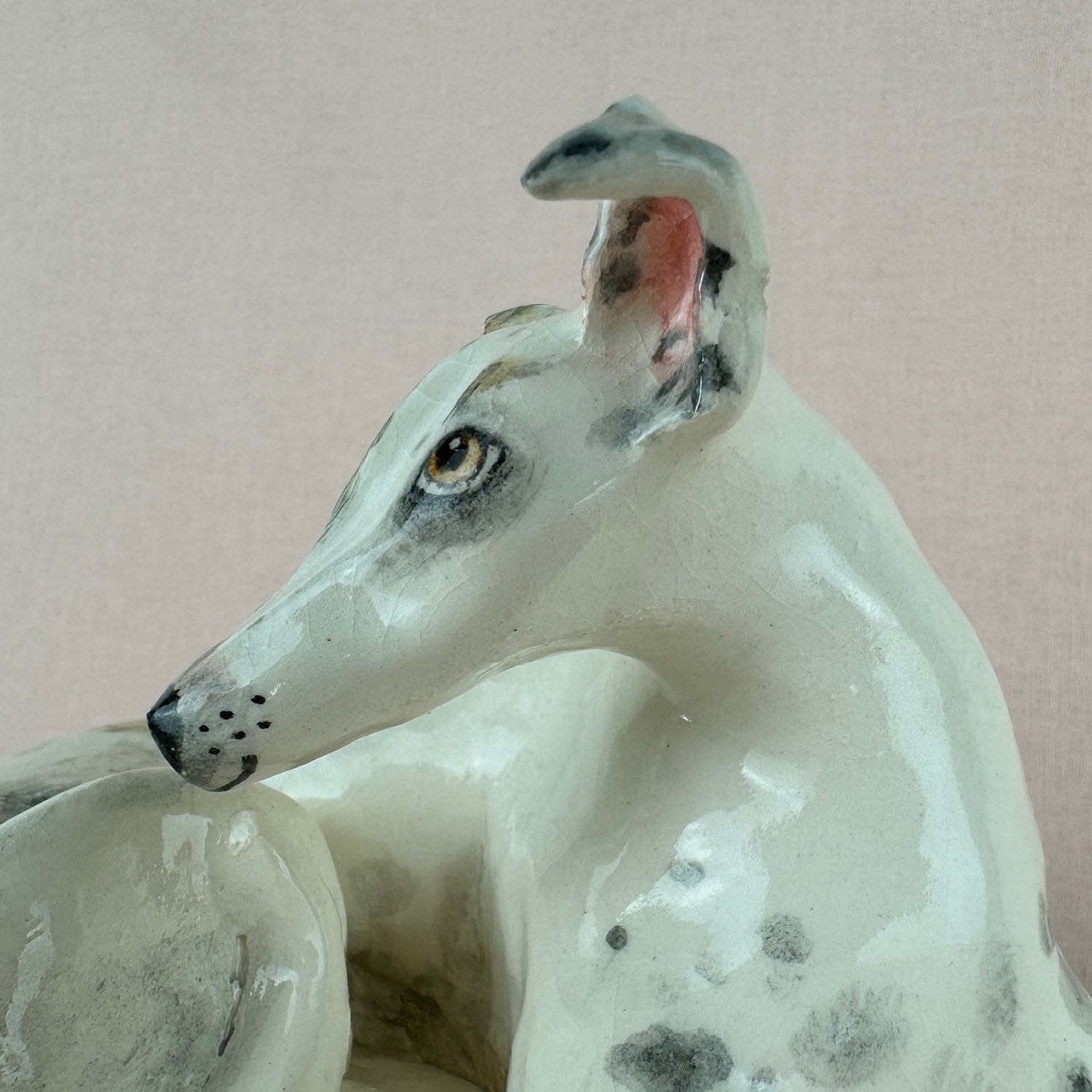 Missy the Greyhound