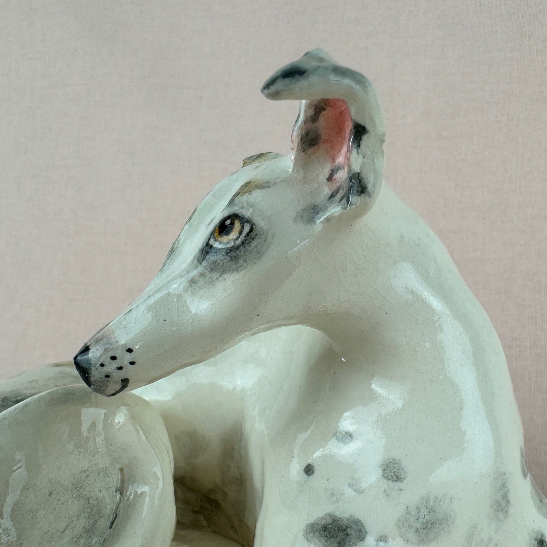 Missy the Greyhound