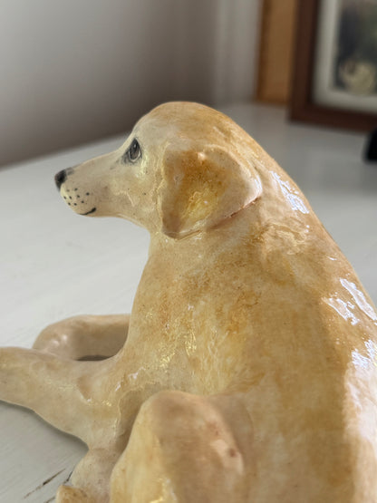 Beloved Labrador