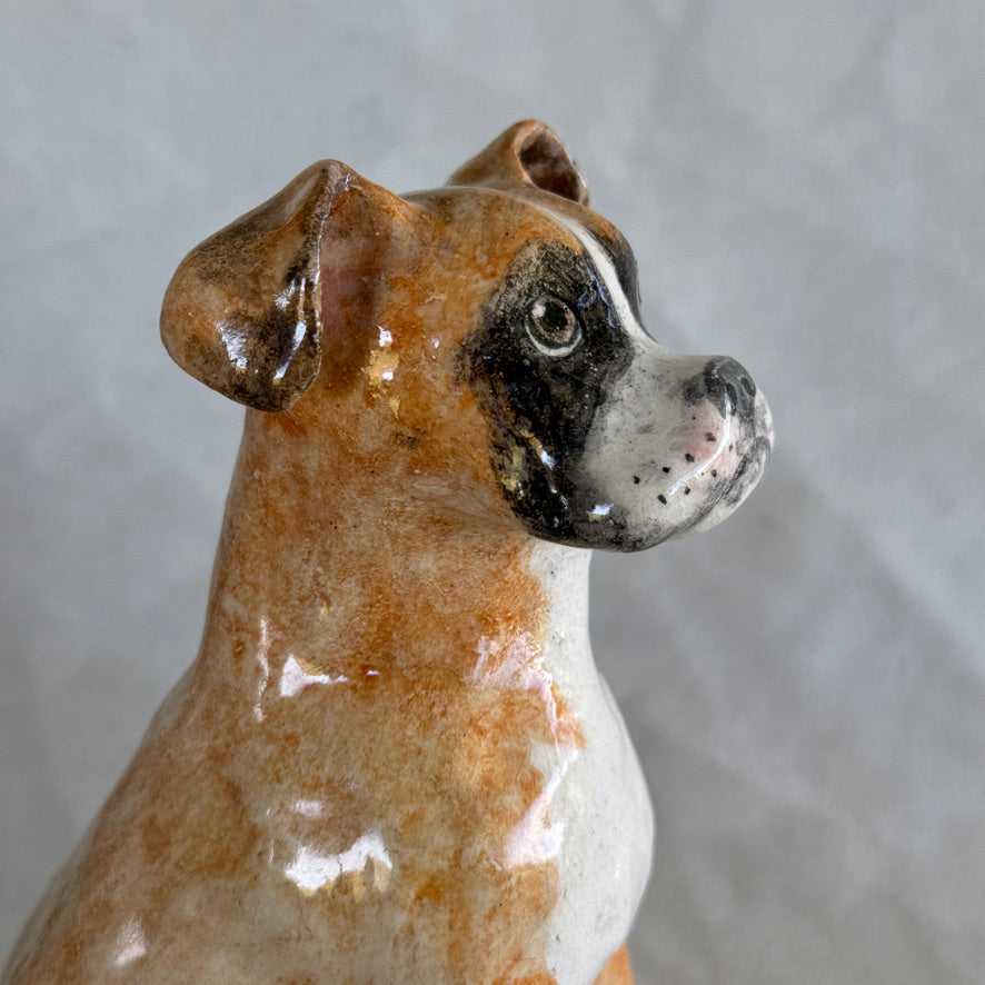 Hugo the Boxer