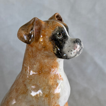 Hugo the Boxer