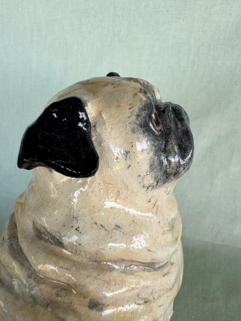 Birthday Pug