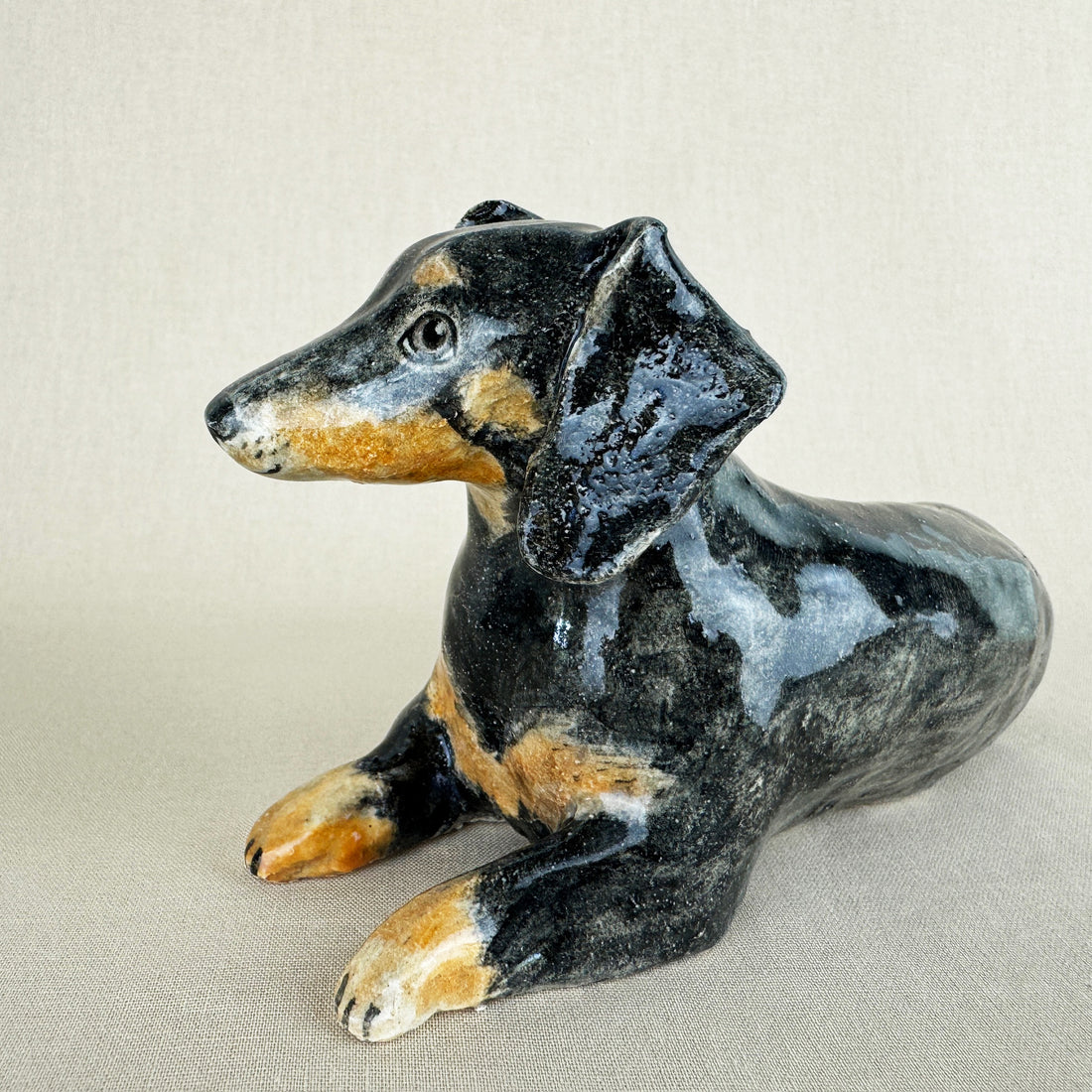 Nemo the Daschund