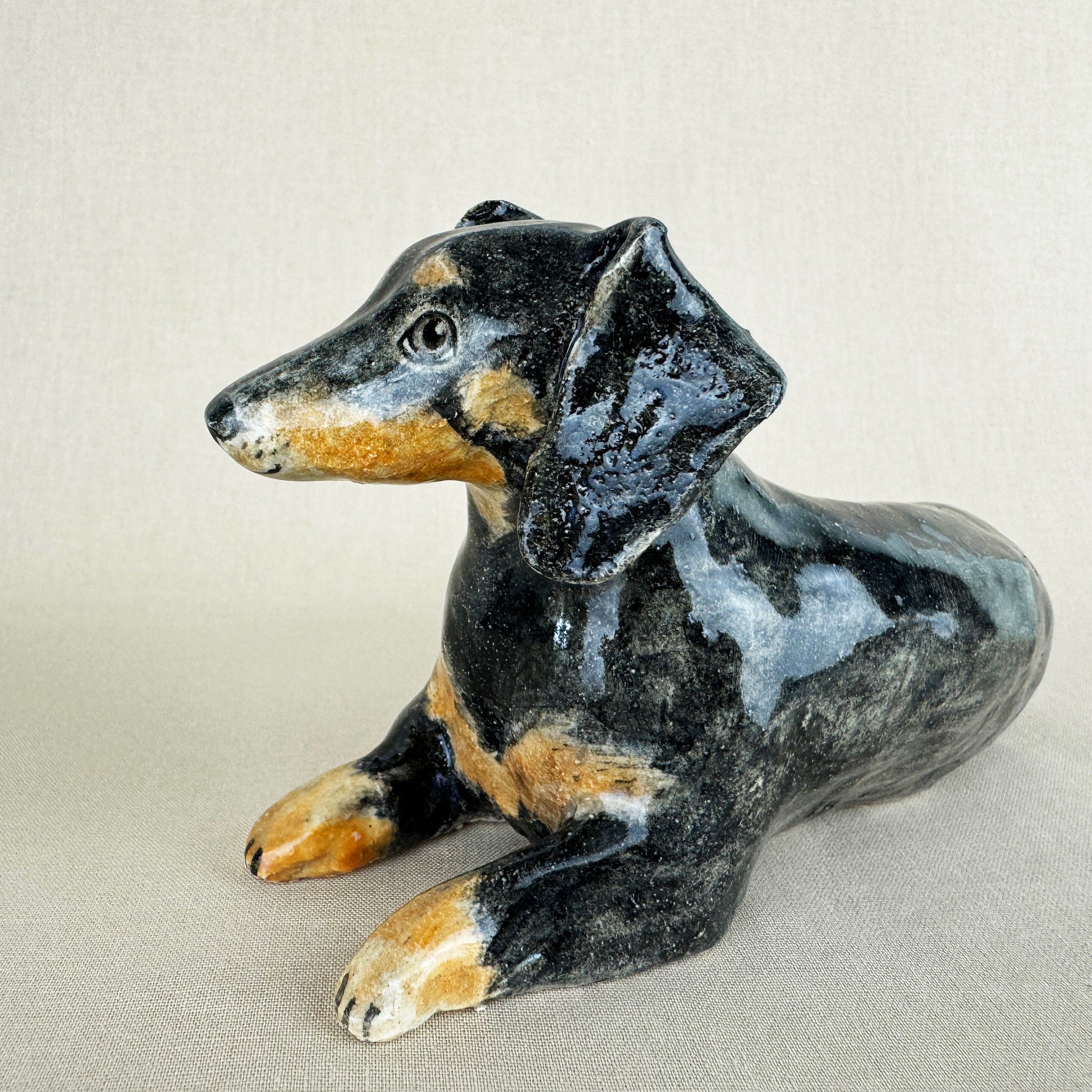 Nemo the Daschund