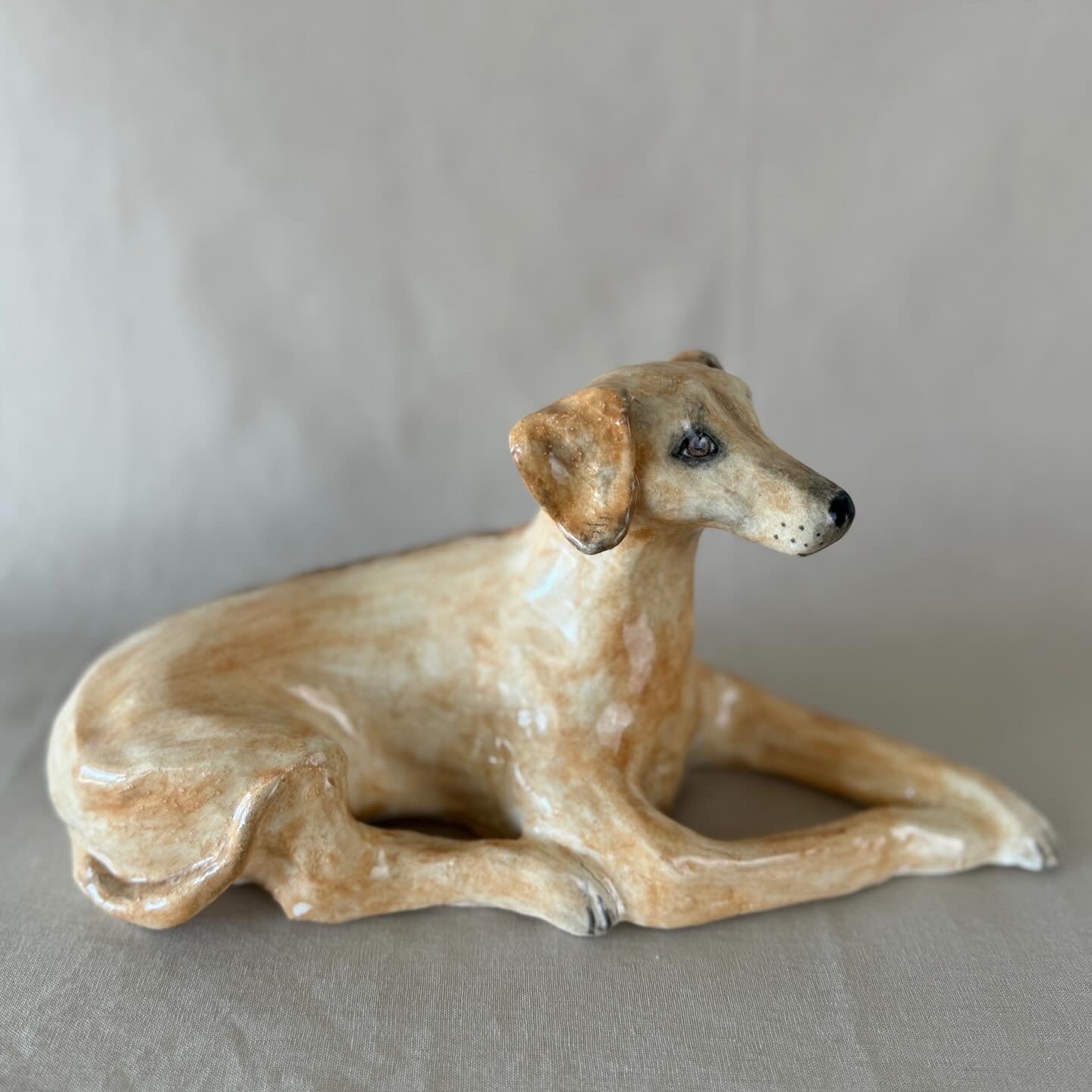A Ridgeback