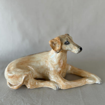 A Ridgeback