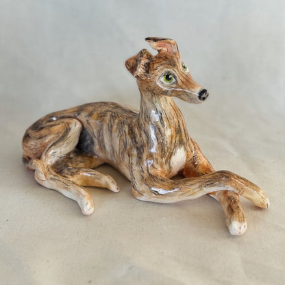 Rescue Greyhound