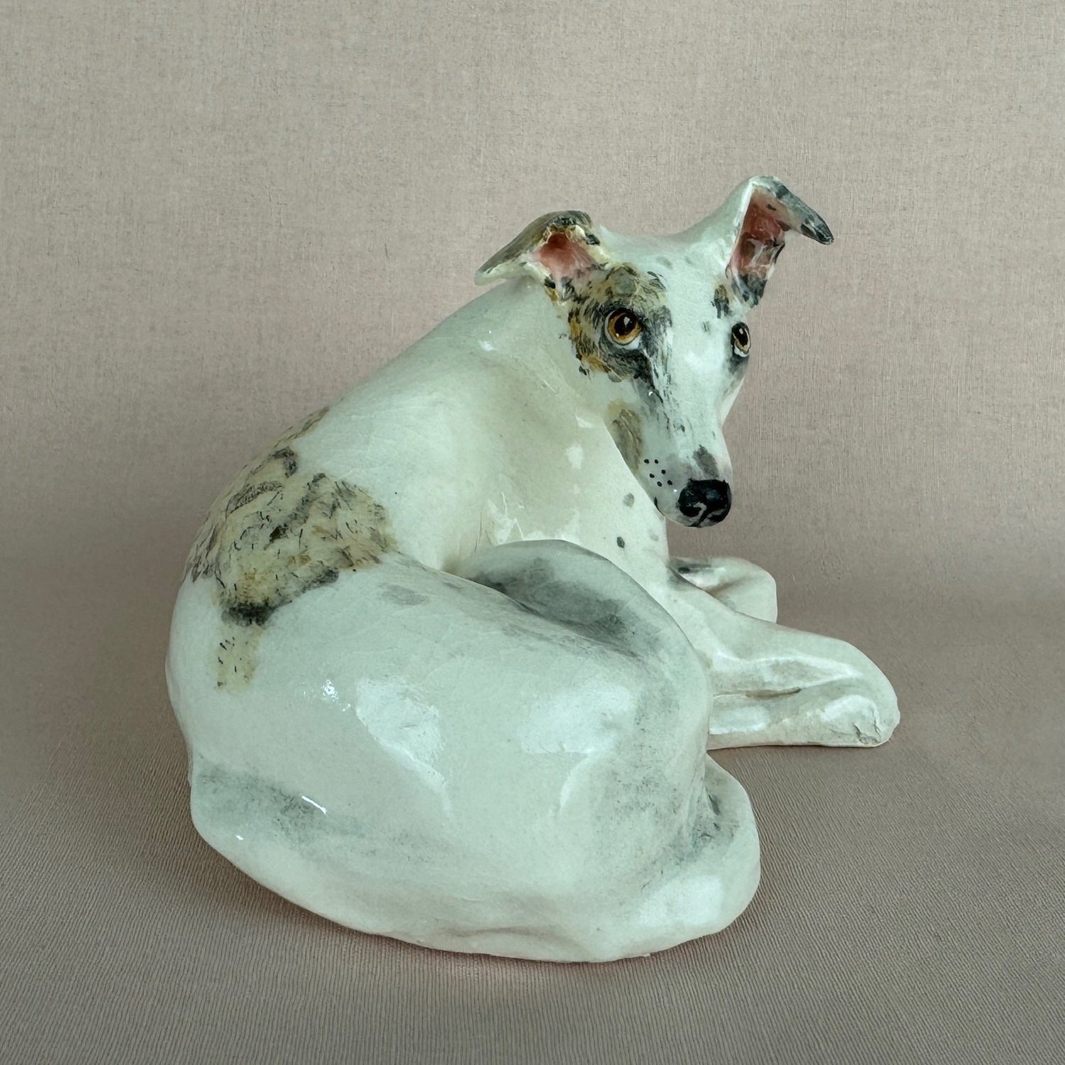 Missy the Greyhound