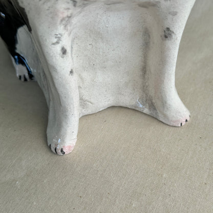 Boston Terrier