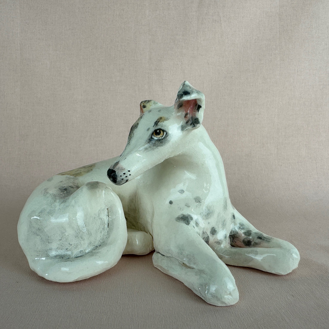 Missy the Greyhound
