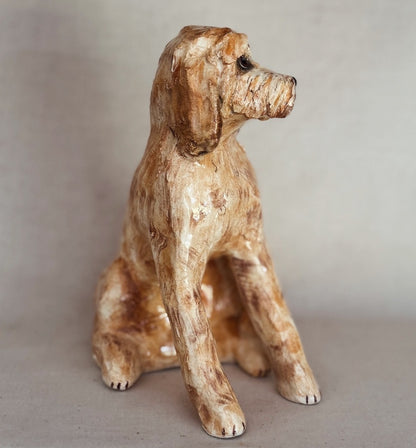 Labradoodle