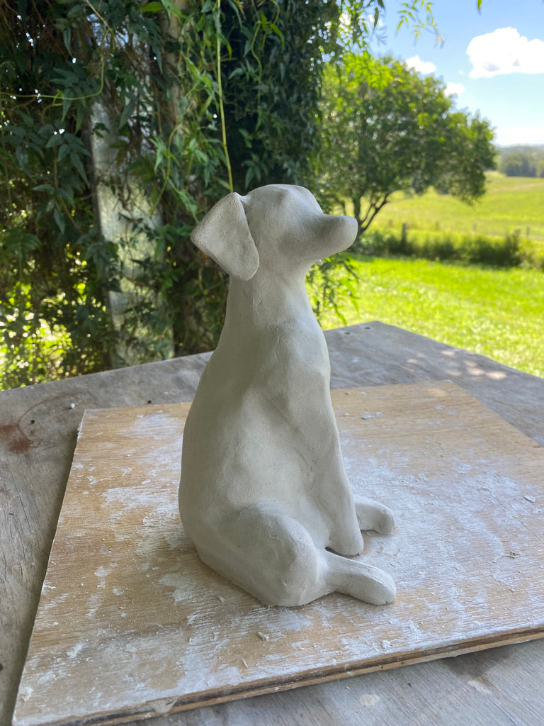 Maisy the Dalmation