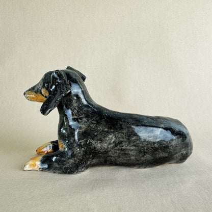 Nemo the Daschund