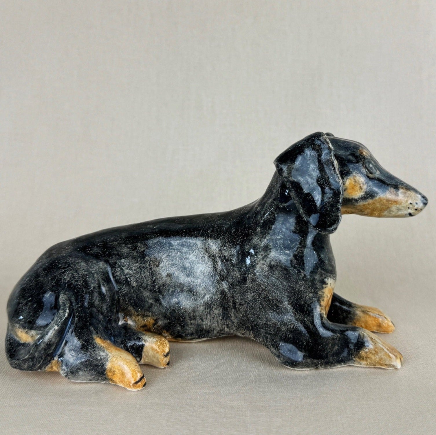 Nemo the Daschund