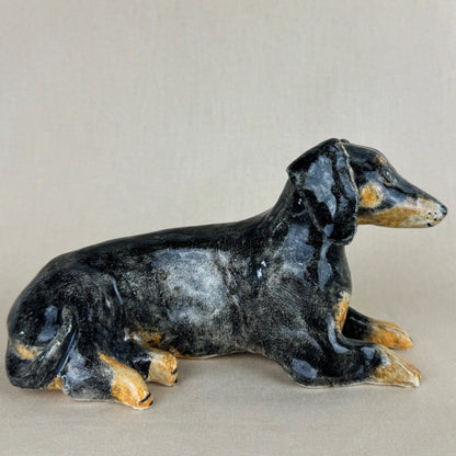 Nemo the Daschund