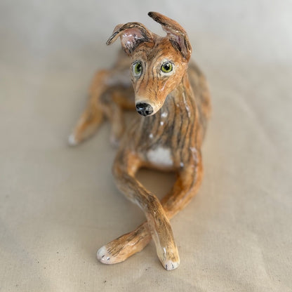 Rescue Greyhound