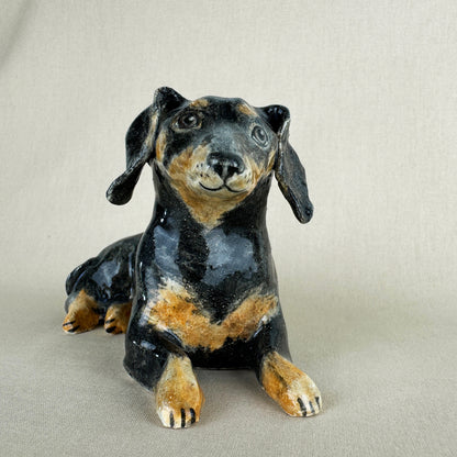 Nemo the Daschund
