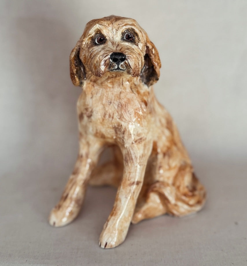 Labradoodle