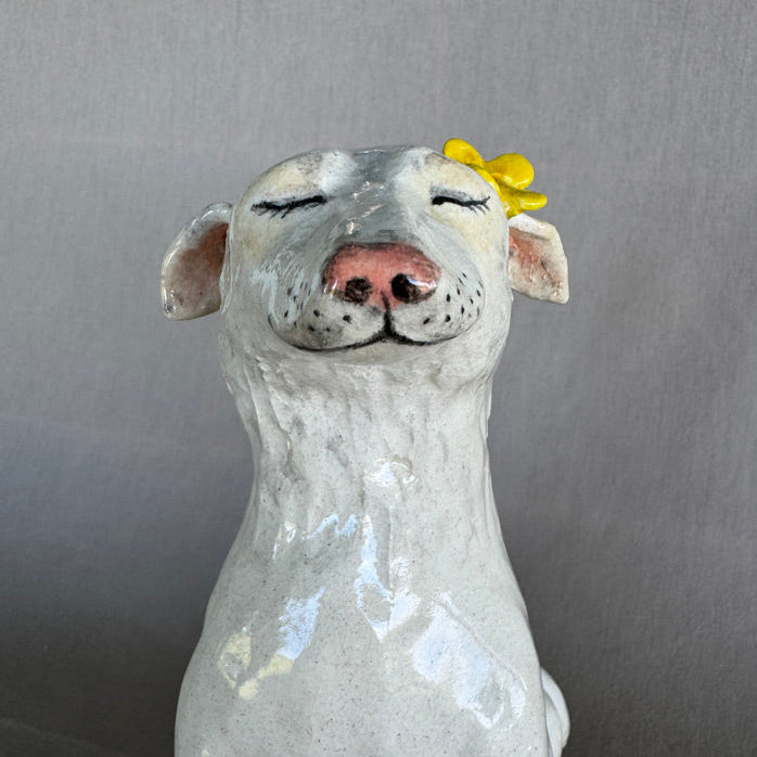 Dandelion Dog