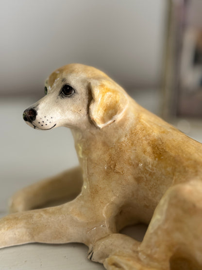 Beloved Labrador
