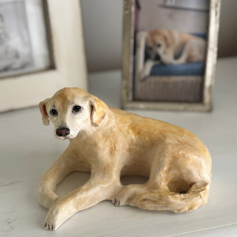 Beloved Labrador