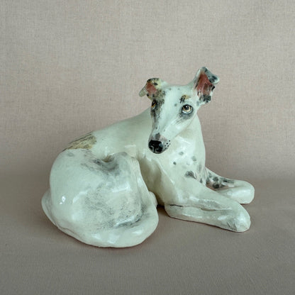 Missy the Greyhound