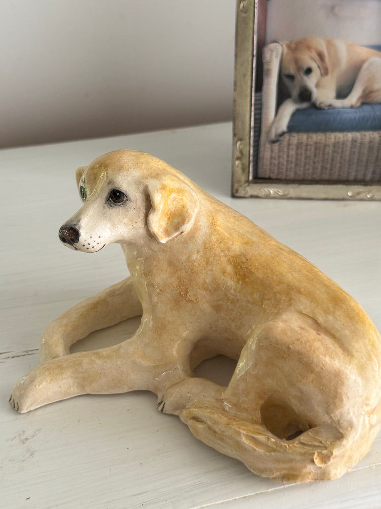 Beloved Labrador