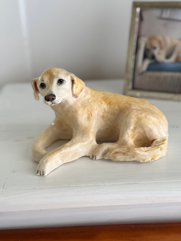 Beloved Labrador