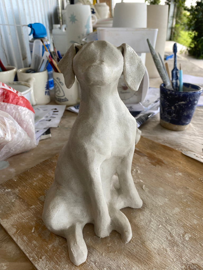 Maisy the Dalmation