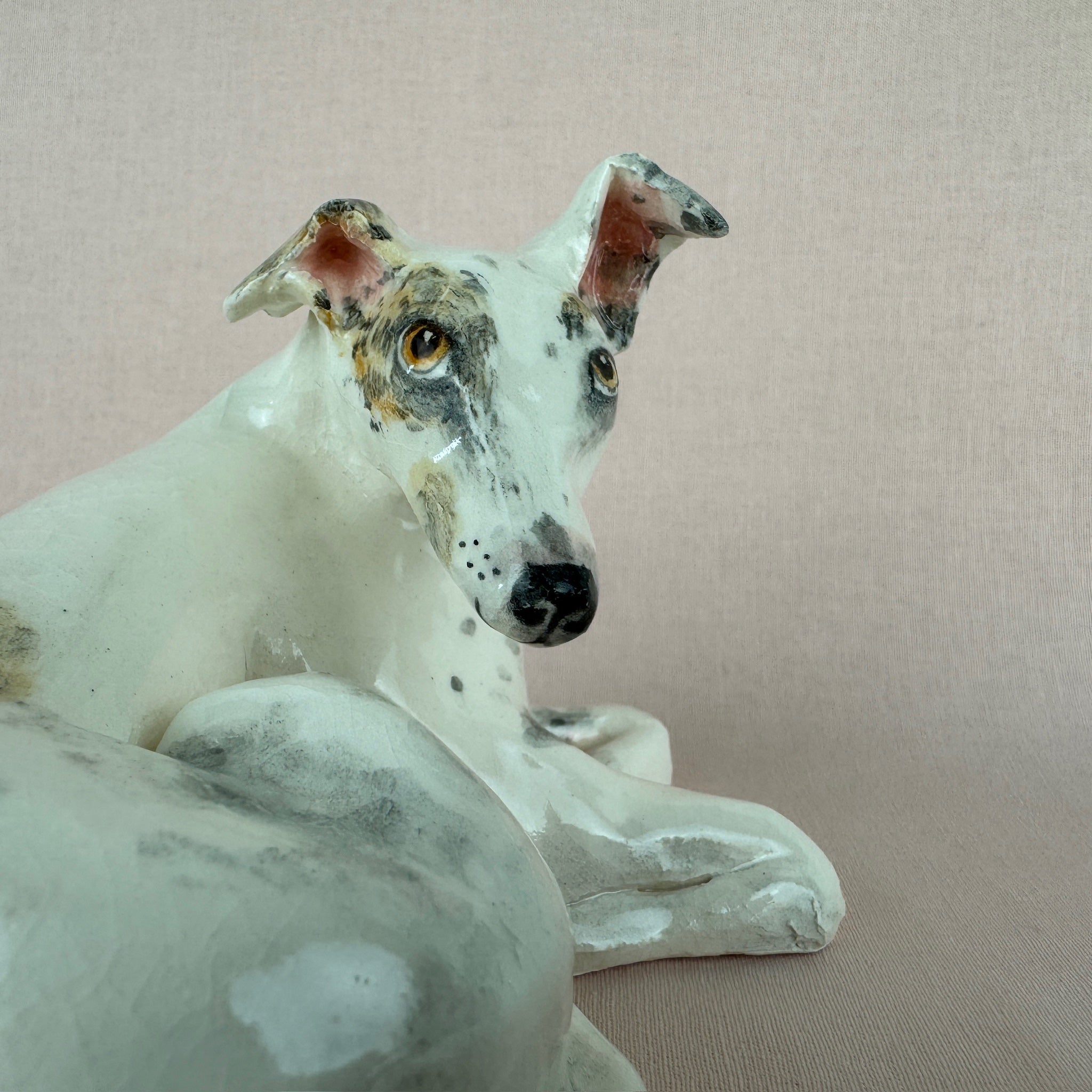 Missy the Greyhound