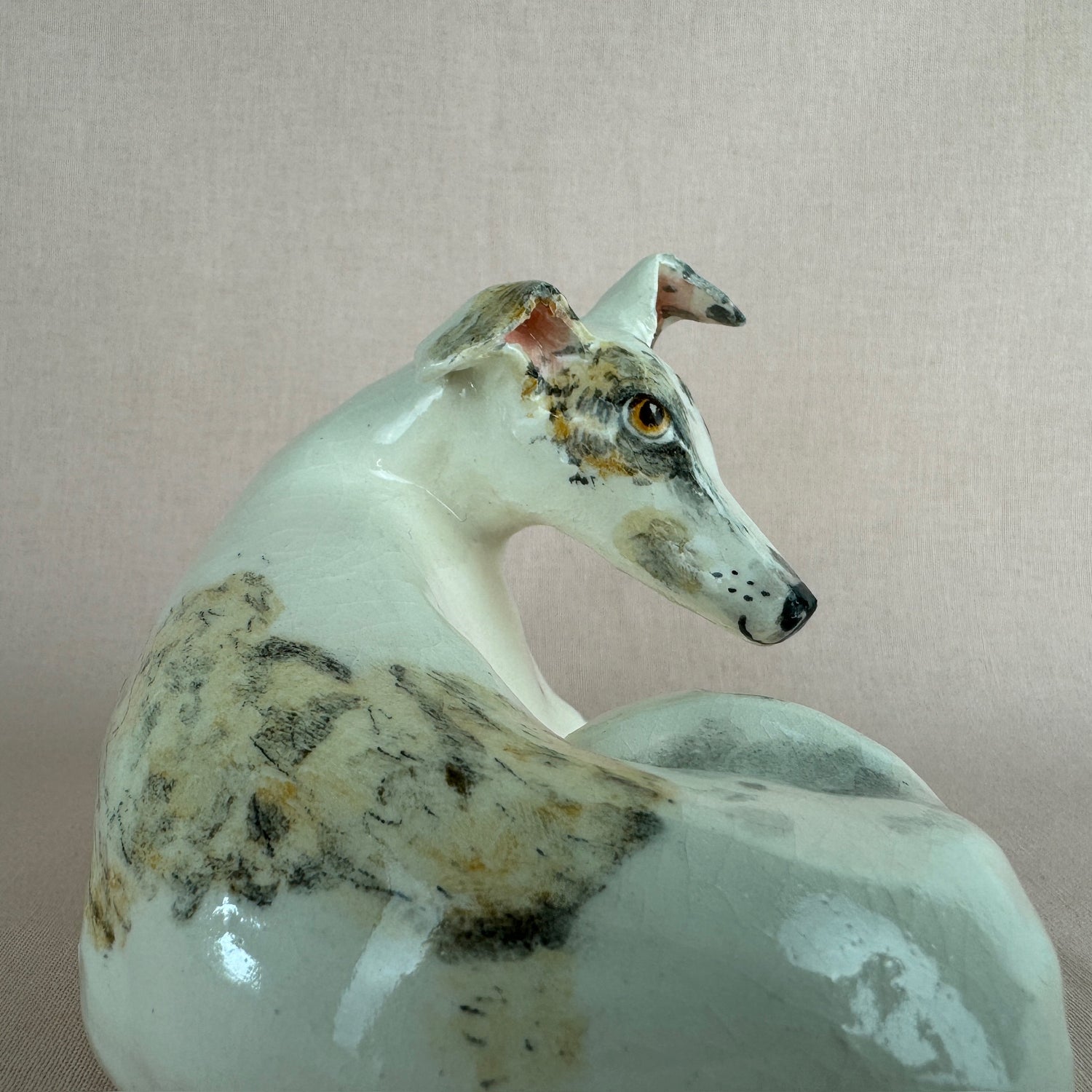 Missy the Greyhound