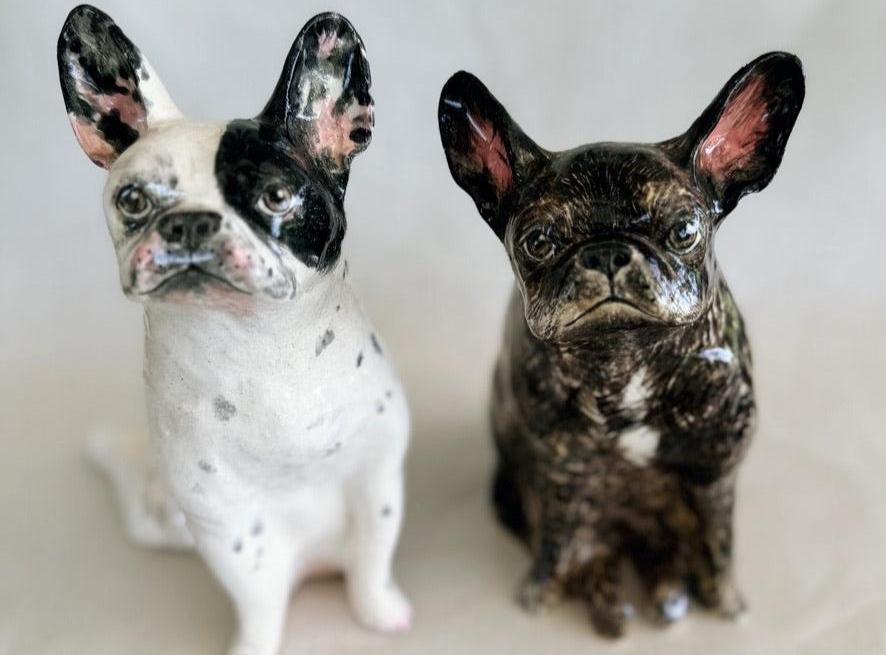 Ivy the Frenchie