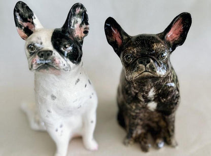 Ivy the Frenchie