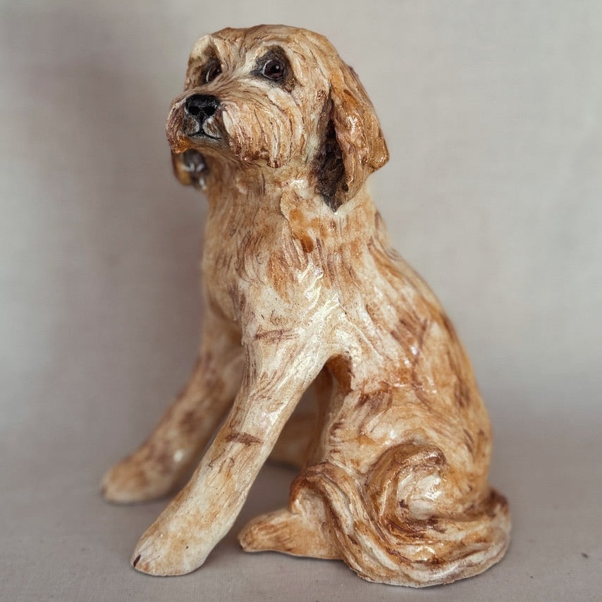 Labradoodle