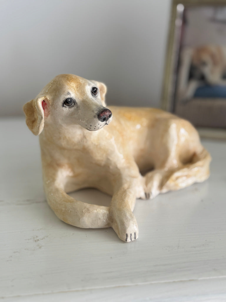 Beloved Labrador
