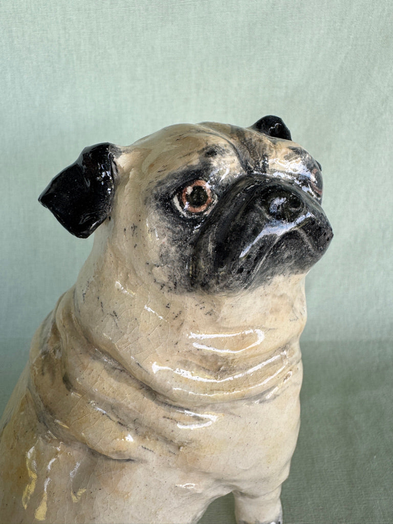 Birthday Pug
