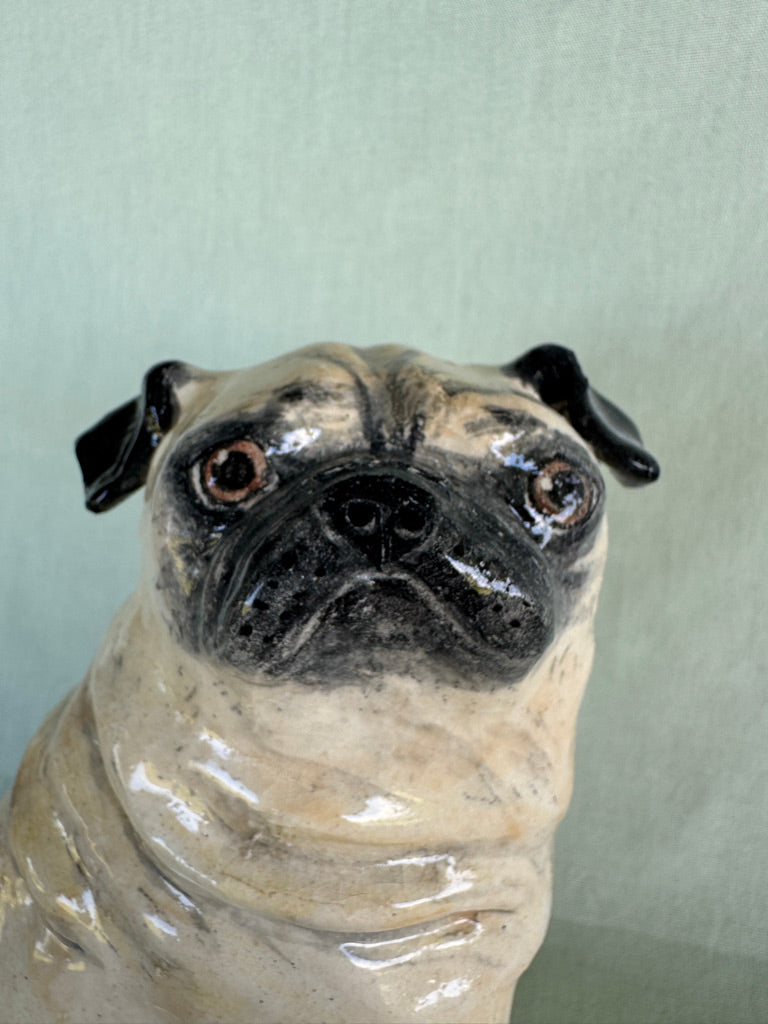 Birthday Pug