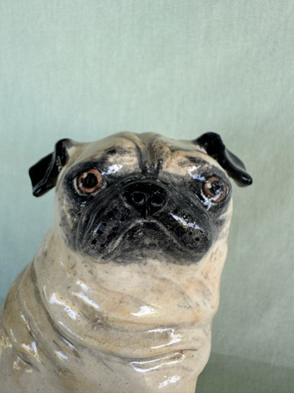 Birthday Pug