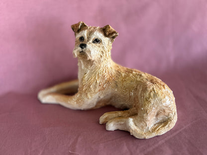 A Lucky Border Terrier