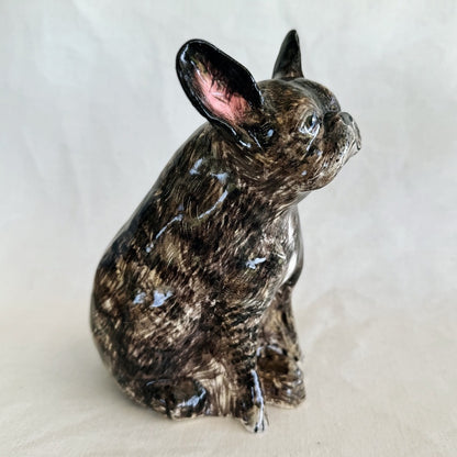 Ivy the Frenchie
