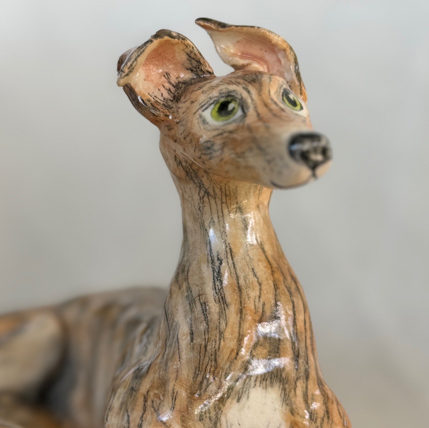 Rescue Greyhound