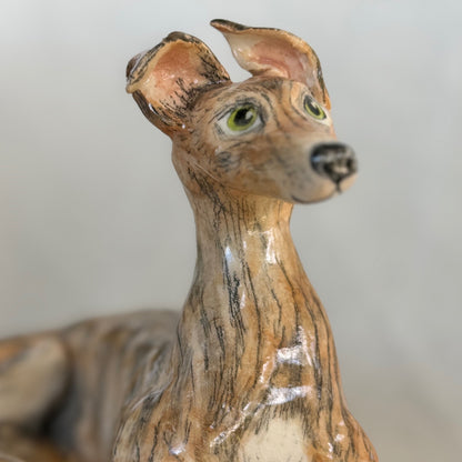 Rescue Greyhound