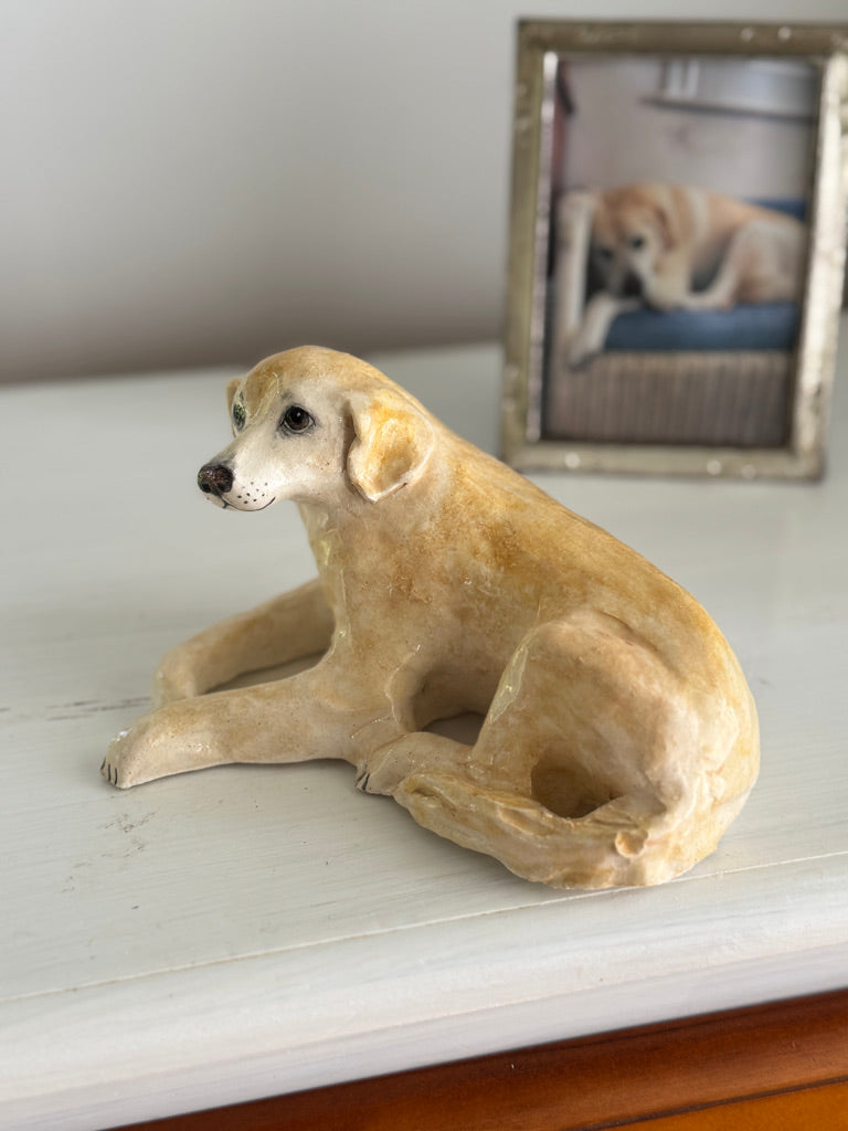 Beloved Labrador