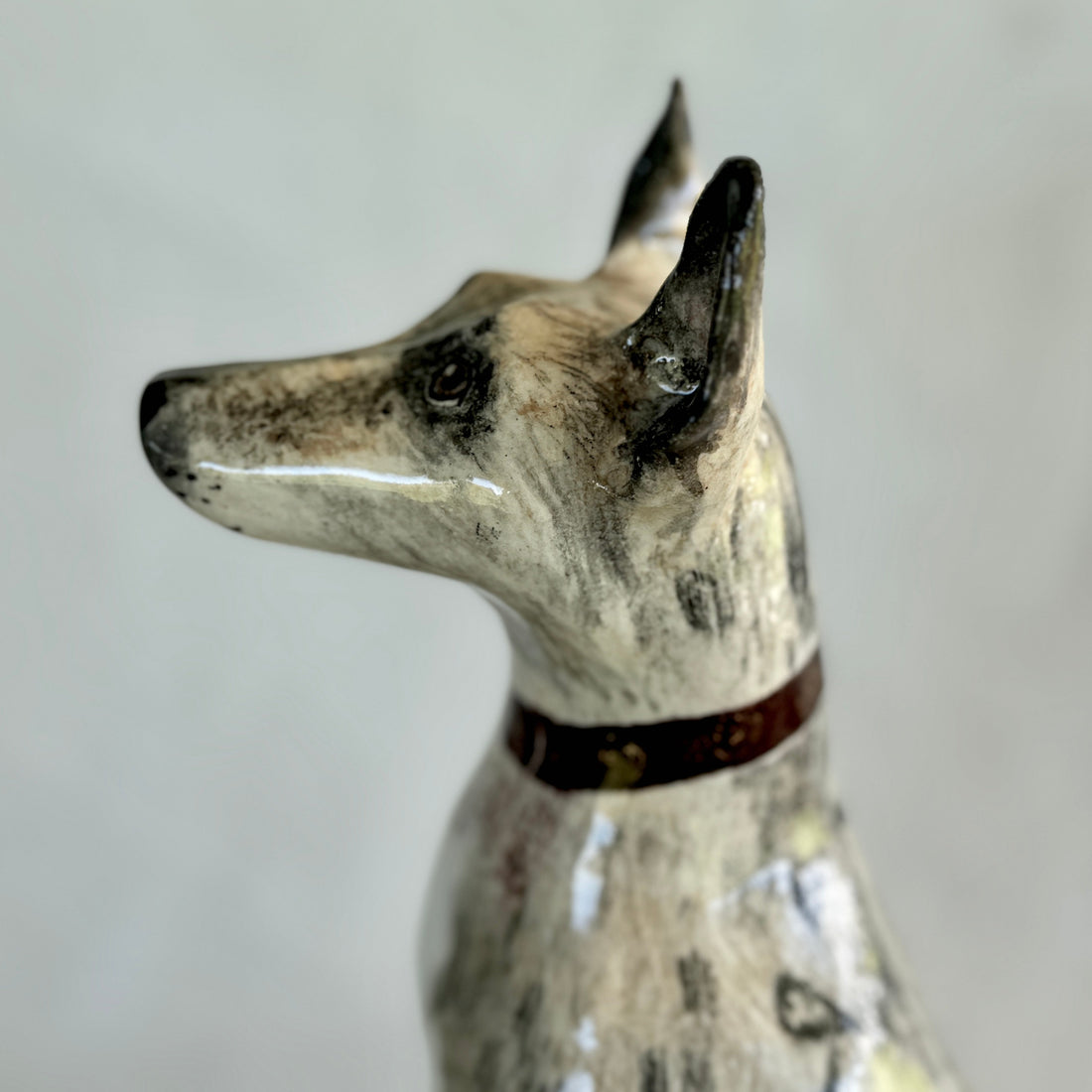 Lily the Alsatian X