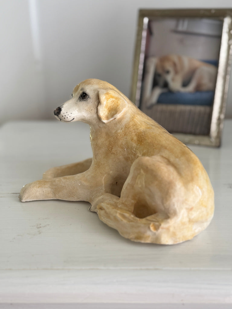 Beloved Labrador