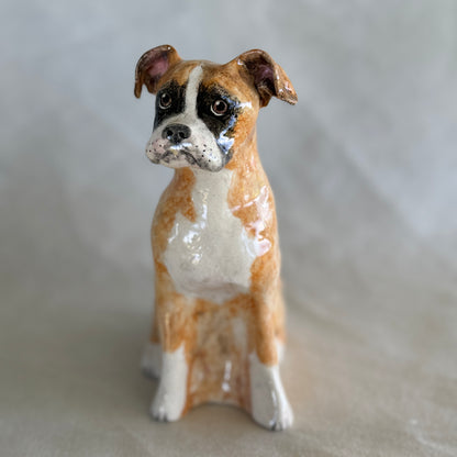 Hugo the Boxer