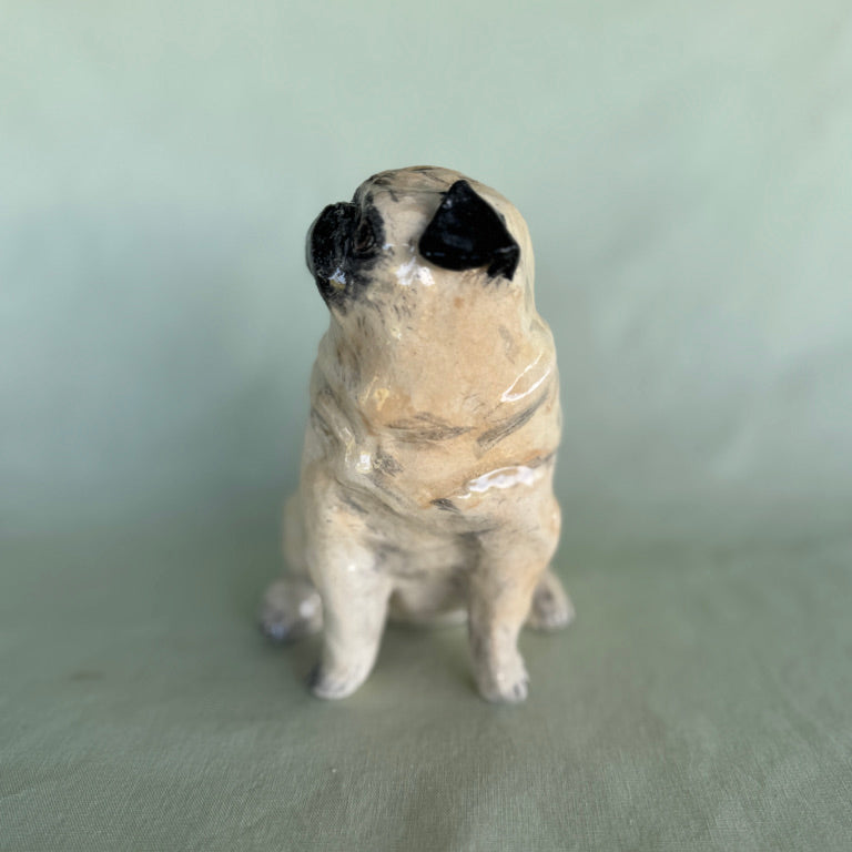 Birthday Pug