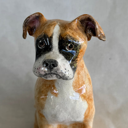 Hugo the Boxer